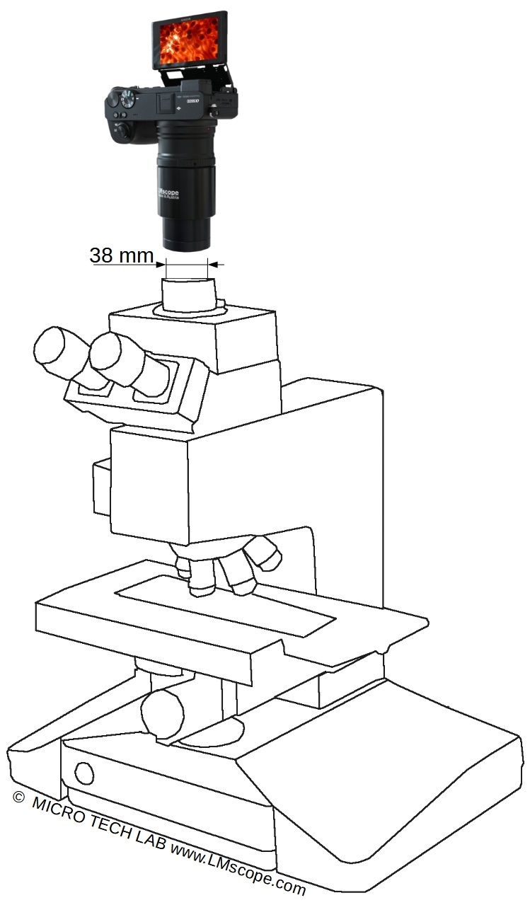 quipez le microscope Leitz un appareil photo moderne, un appareil photo numrique, un appareil photo sans miroir, un appareil photo reflex numrique, un appareil photo  monture C